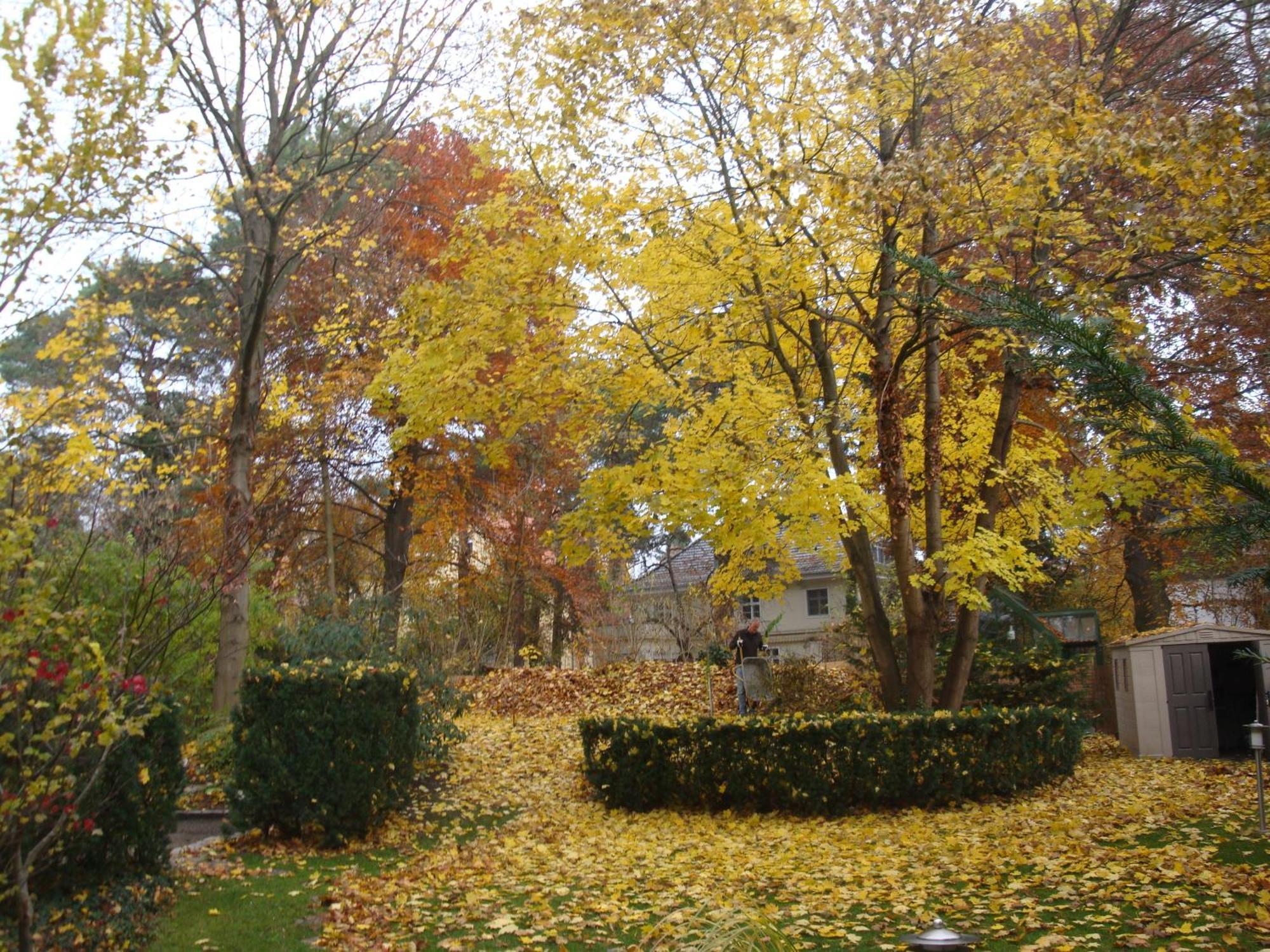 ברלין Hotel Landhaus Schlachtensee מראה חיצוני תמונה